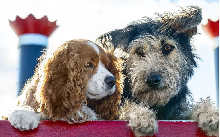 film we 27/3 film we 27/3