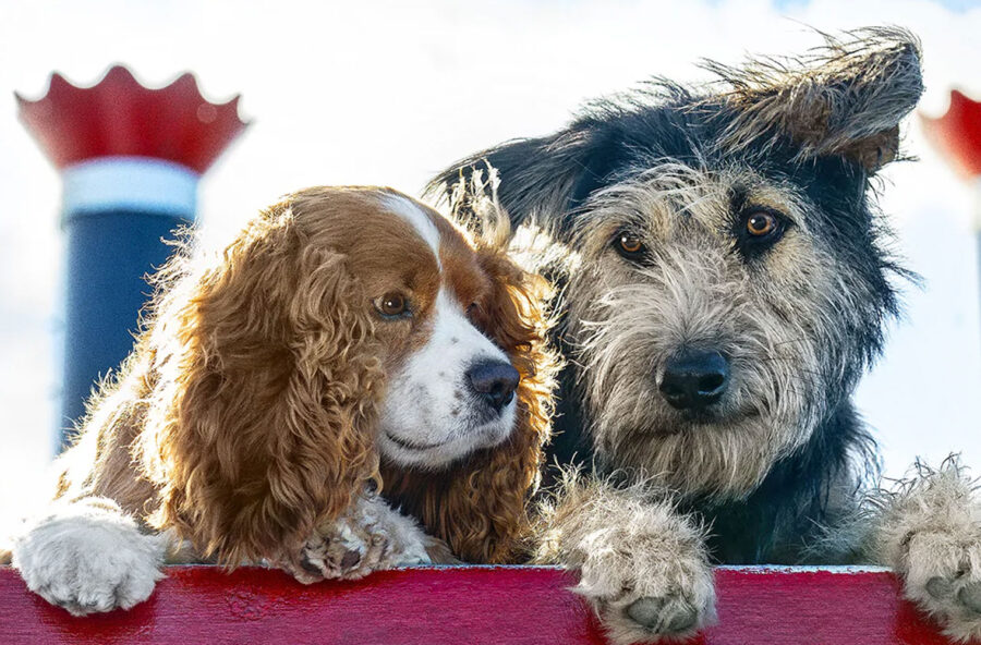 Film in tv nel weekend: in chiaro, su satellite e in streaming