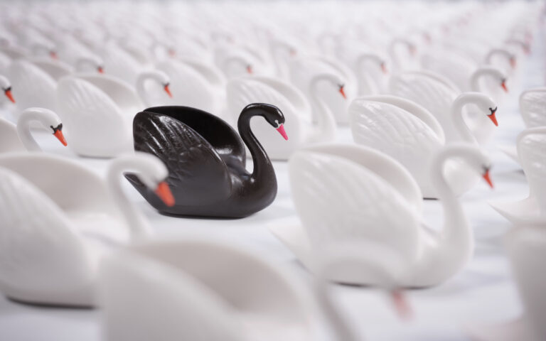 Black swan theory or a black swan event is a term used to describe a very rare or otherwise unexpected event that has a major effect. The term is based on an ancient saying which presumed black swans did not exist.