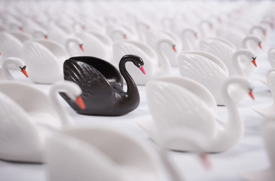 Diversità: impara a considerarla una risorsa