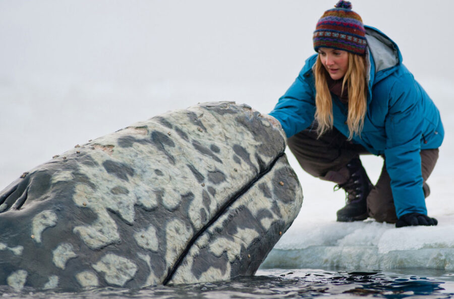 Stasera in tv: i film di oggi 8 giugno