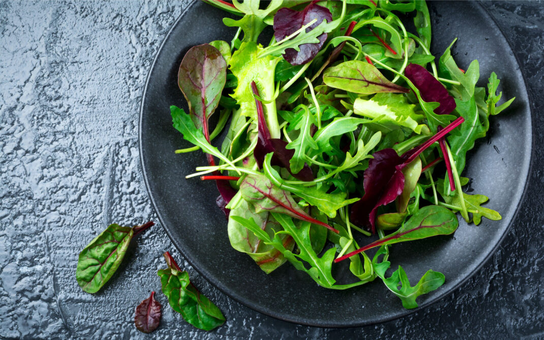 rucola rucola