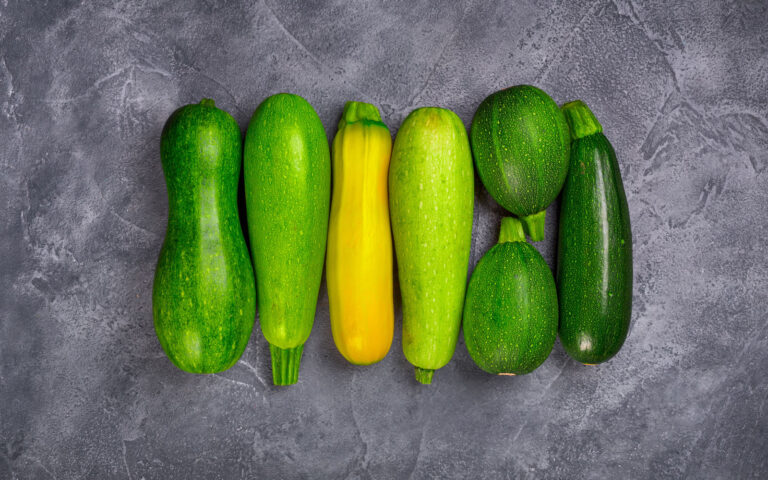 zucchine zucchine