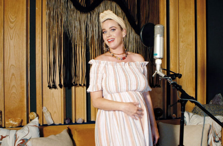 Le cicogne dell’estate 2020