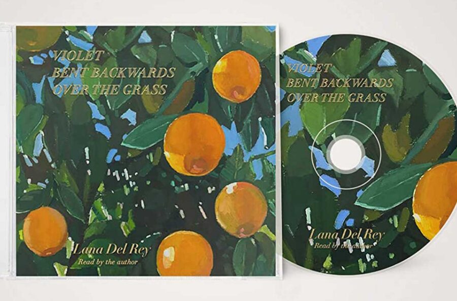 Gli audiolibri da ascoltare sotto l’ombrellone