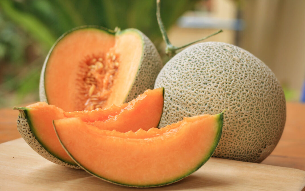melone melone