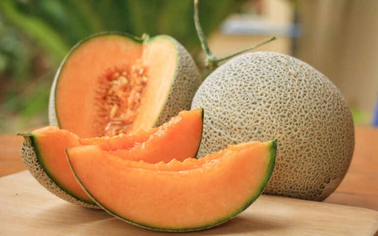 melone melone