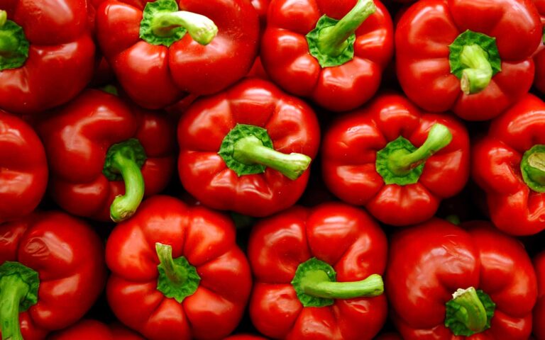peperoni peperoni