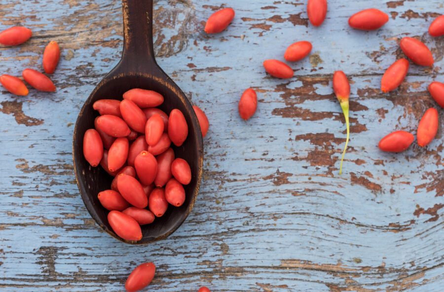 Bacche di Goji: l’integratore di bellezza per l’autunno