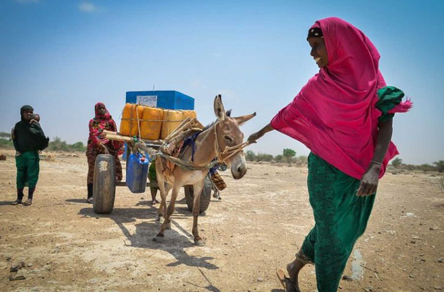 Nasce la Food coalition contro la fame in tempi di pandemia