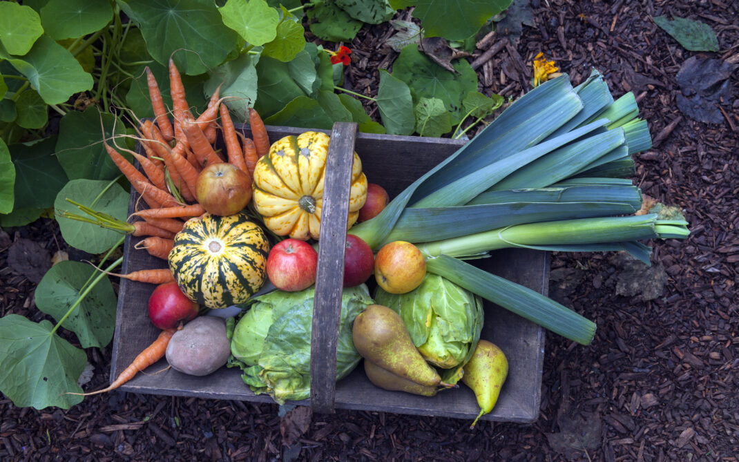 2021 anno frutta e verdura 2021 anno frutta e verdura