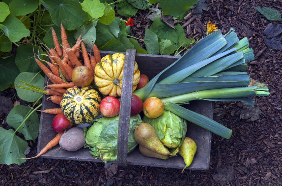 2021: per la FAO è l’anno della frutta e della verdura