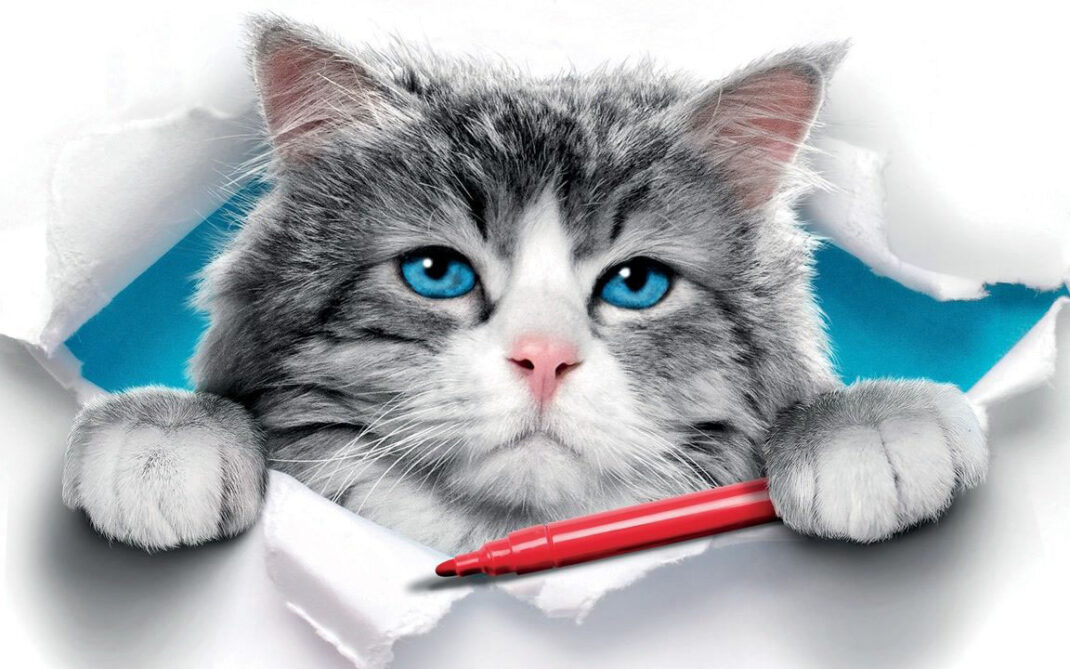 Una vita da gatto Una vita da gatto
