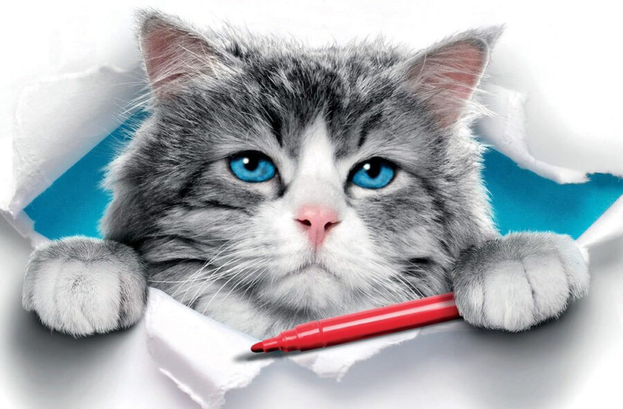 Stasera in tv: i film di oggi 17 febbraio