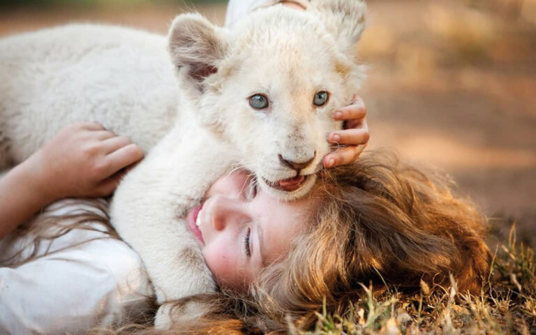 Mia e il leone bianco Mia e il leone bianco