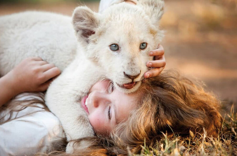 Stasera in tv: i film di oggi 24 marzo