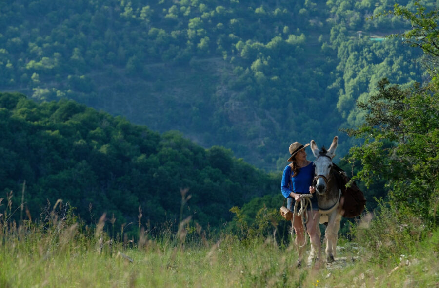 Festival cinematografici: quelli da non perdere prima dell’estate