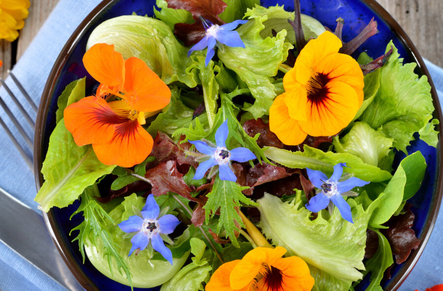 Ricette con il fiori, il sapore e l’energia della primavera