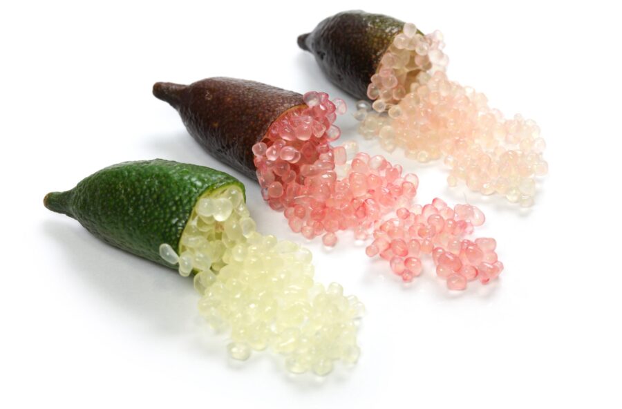 Finger lime: conosci il caviale di limone?