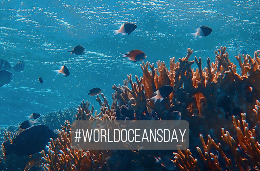 Giornata mondiale dell’Oceano: un’occasione per riflettere