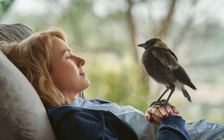 film cinema 15/7 film cinema 15/7