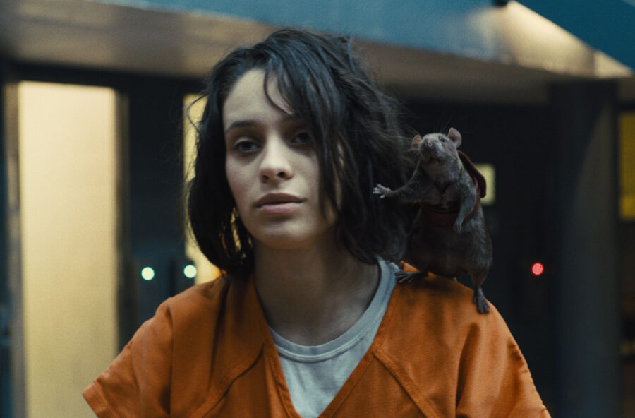 Cinema: vieni a scoprire i film in sala in agosto