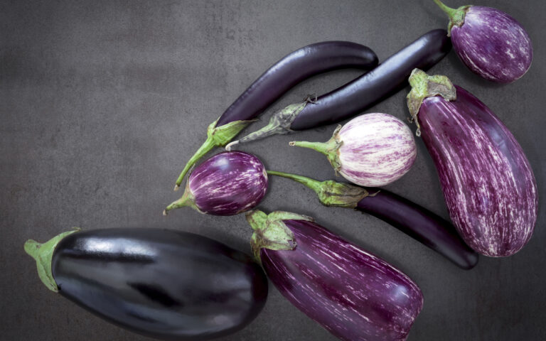 Eggplant varieties on black slate background. Overhead view. Eggplant varieties on black slate background. Overhead view.
