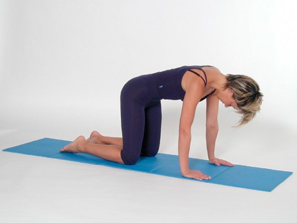 quadrupedia corpo libero quadrupedia corpo libero