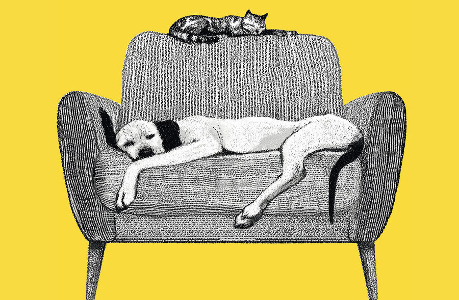 5 libri per animal lover