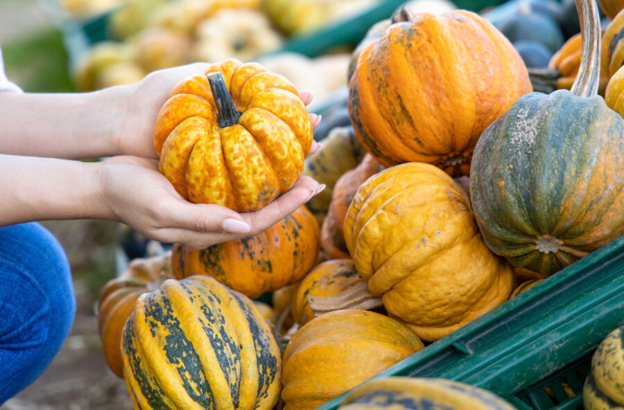 Zucca per combattere la fame nervosa. E anche l’invecchiamento