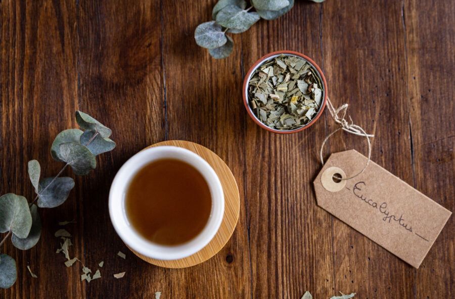 Raffreddore? Pronto sollievo con la tisana di eucalipto