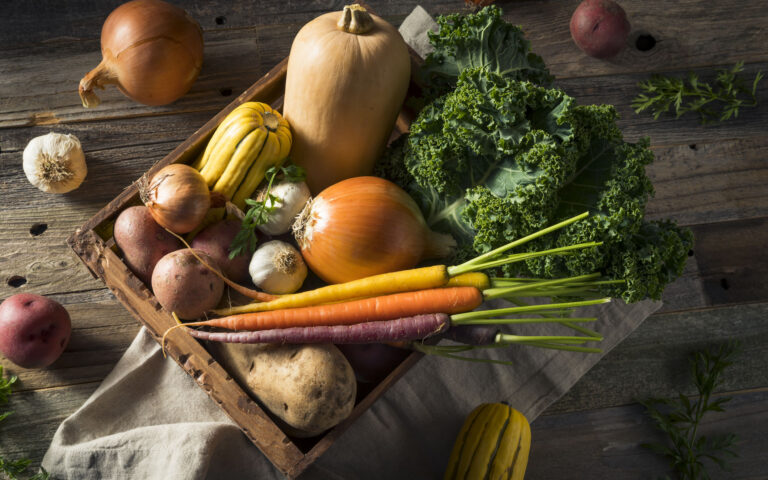 Raw Organic Winter Farmers Market Box with Potatoes Garlic Onion Squash and Kale