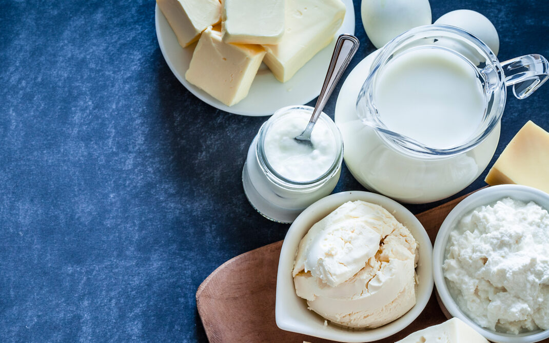 yogurt fatto in casa yogurt fatto in casa