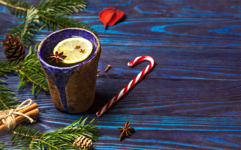 Christmas composition. Lemon tea with spices, Christmas tree, cinnamon sticks, cones, star anise and candy cane. Layout with free text space Christmas composition. Lemon tea with spices, Christmas tree, cinnamon sticks, cones, star anise and candy cane. Layout with free text space