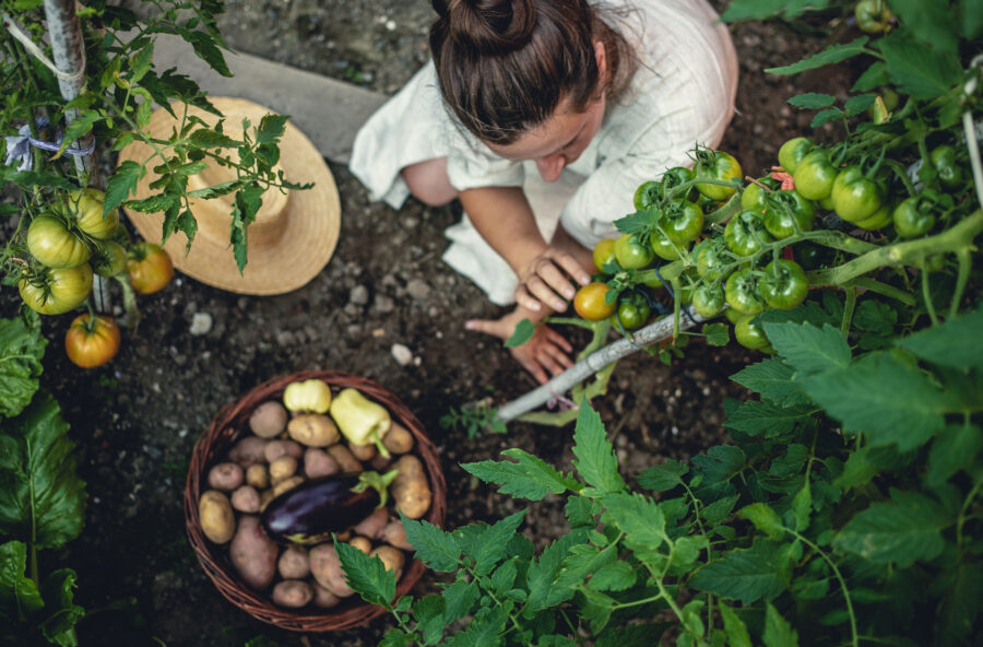 Agroecologia: per proteggere l’ambiente è il momento di agire