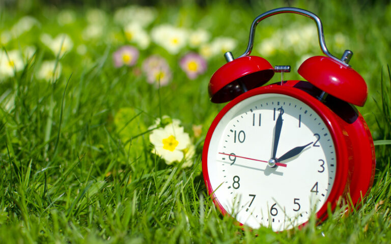 The photo is showing the clock in a floral surrounding. The photo is showing the clock in a floral surrounding.
