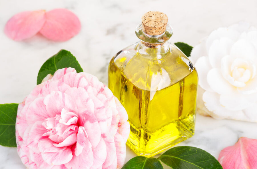 Capelli e unghie più forti con l’olio di camelia