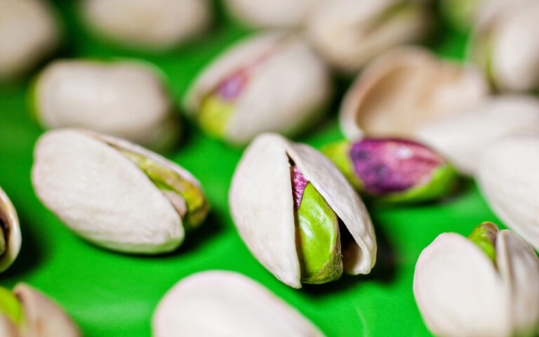 pistacchi e microbiota pistacchi e microbiota