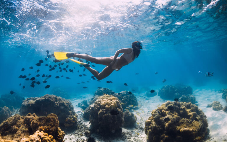 Free diver girl glides with school of fishes in blue ocean Free diver girl glides with school of fishes in blue ocean
