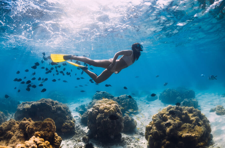 Solari: scegli quelli che proteggono anche il mare