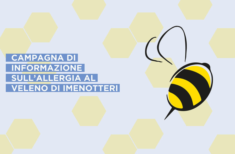 Api, vespe e calabroni: come difendersi