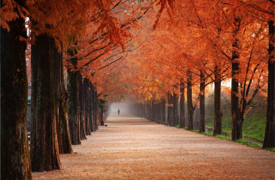 Foliage: una vacanza rigenerante nella natura autunnale