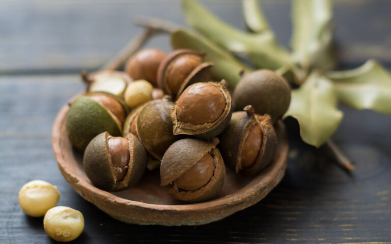 Macadamia nuts in shell on wooden table