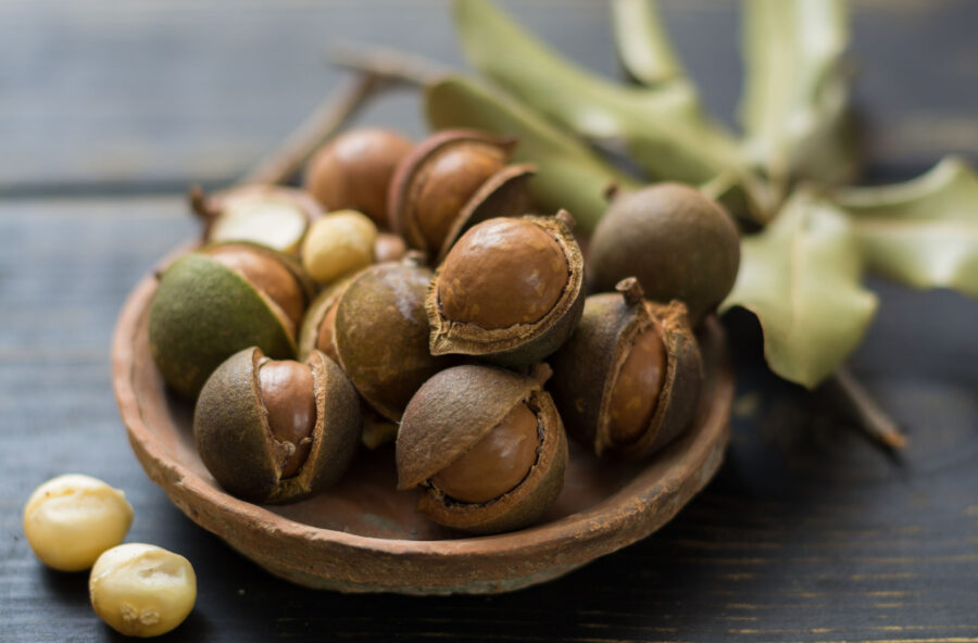 Noci di macadamia, integratori di bellezza