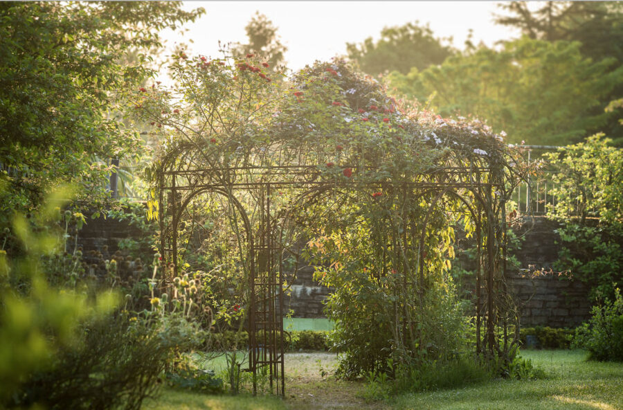 Premio Terre de Femmes per l’ambiente: sono aperte le iscrizioni