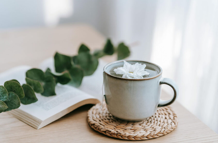 Tisana di eucalipto antinfiammatoria per affrontare i malanni di stagione