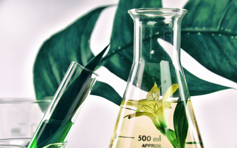 Natural organic extraction and green herbal leaves, Flower aroma essence solution in laboratory. Natural organic extraction and green herbal leaves, Flower aroma essence solution in laboratory.