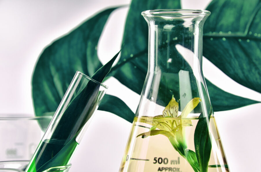 Cosmetici eco-friendly: come riconoscerli