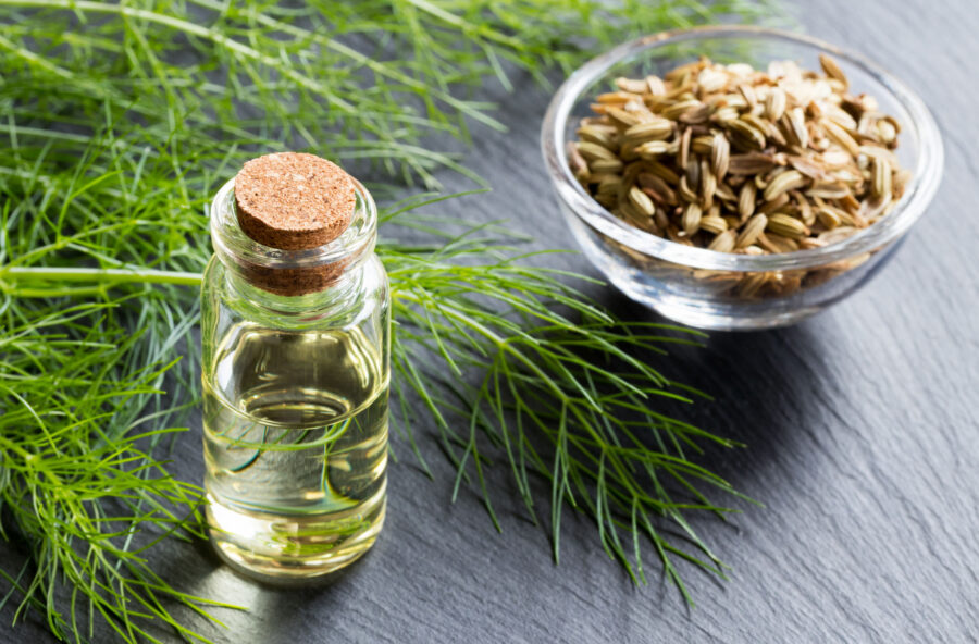 Colon irritabile: riequilibra la flora batterica con il finocchio Colon irritabile: riequilibra la flora batterica con il finocchio