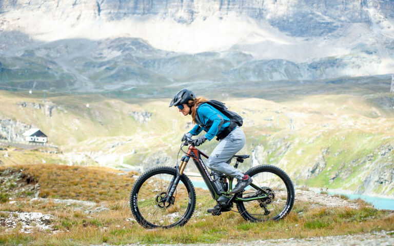 presciistica presciistica